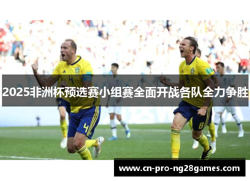 2025非洲杯预选赛小组赛全面开战各队全力争胜