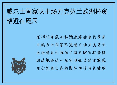威尔士国家队主场力克芬兰欧洲杯资格近在咫尺